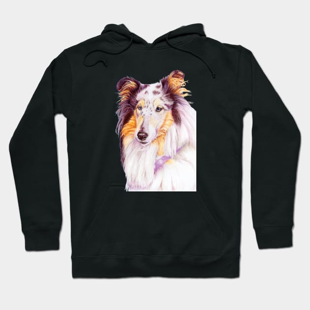 Collie - blue merle Hoodie by doggyshop